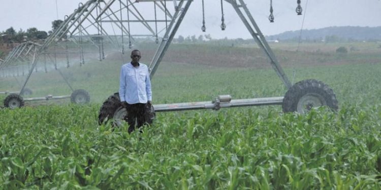 Rwanda secures US$47 million loan from China to invest in agriculture