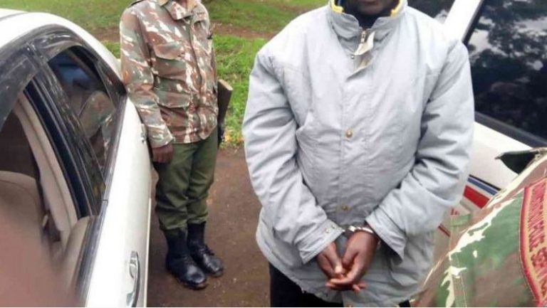 Deputy OCS arrested after body of The Star journalist was found in her house