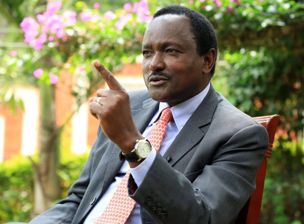 Kalonzo Musyoka Wiper Leader