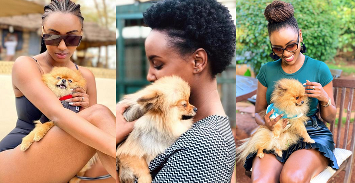 Michelle Ntalami mourns the death of her dog baby Pixel