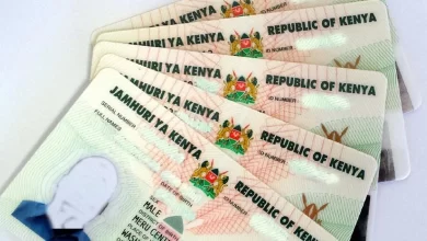 Gov't Explains Why Kenyans Will Renew National IDs after 10 Years