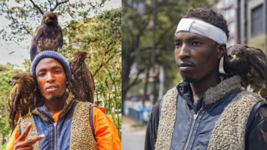 Nairobi man explains how he fell in love with birds