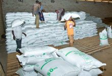 New scandal as 564 tonnes of Russian fertiliser donated to Kenya disappear