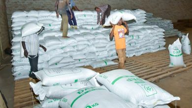 New scandal as 564 tonnes of Russian fertiliser donated to Kenya disappear