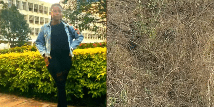 A photo collage of Mercy Kwamboka and the thicket where her body was found in Mwiki, Nairobi. PHOTO/ Screengrab.