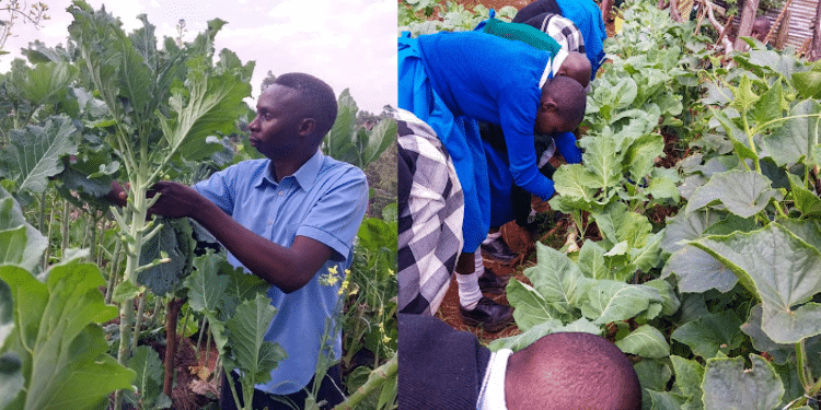 Dominic Orina: Kenyan teacher shortlisted for Sh129M global award