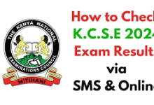 Here's How to Check the 2024 KCSE Results