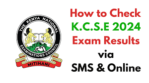 Here's How to Check the 2024 KCSE Results