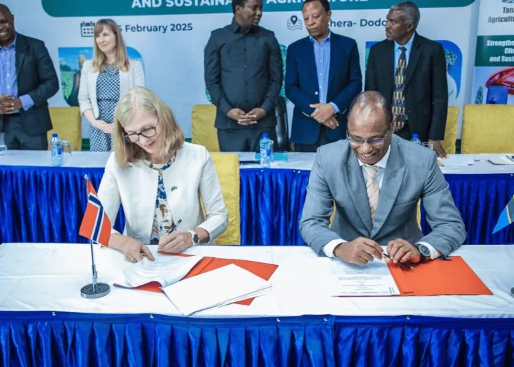 Tanzania Secures US$1.3 million from Norway To Boost Agricultural Development 