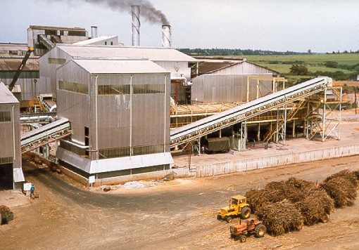Government Finalizes Leasing of Four Public Sugar Mills in Sector Revamp