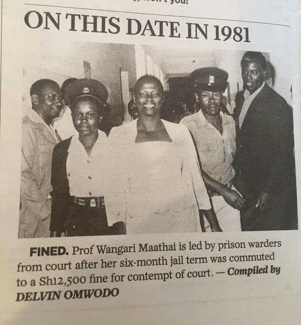Wangari Maathai's Divorce, The Story They Tried to Bury